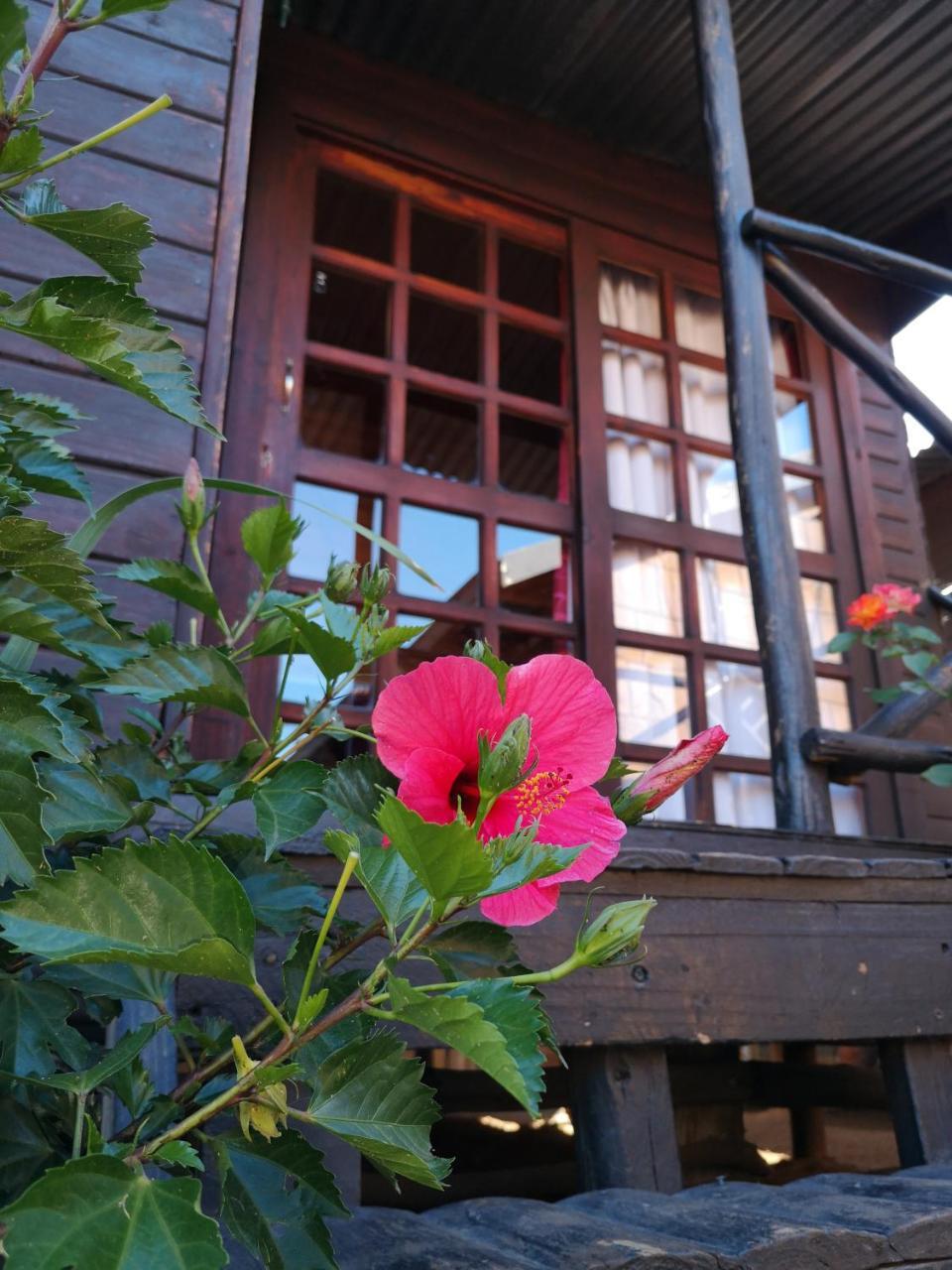 范德拜尔帕克 宾客旅馆酒店 外观 照片